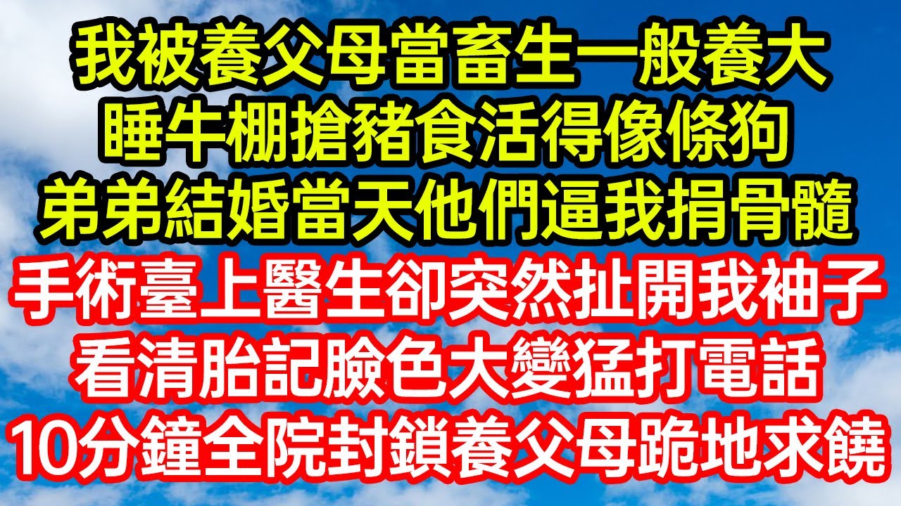 我被養父母當畜生一般養大，睡牛棚搶豬食活得像條狗，弟弟結婚當天他們逼我捐骨髓，手術臺上醫生卻突然扯開我袖子，看清胎記臉色大變猛打電話，10分鐘後全院封鎖養父母跪地求饒 #爽文#情感故事#晓晨的书桌