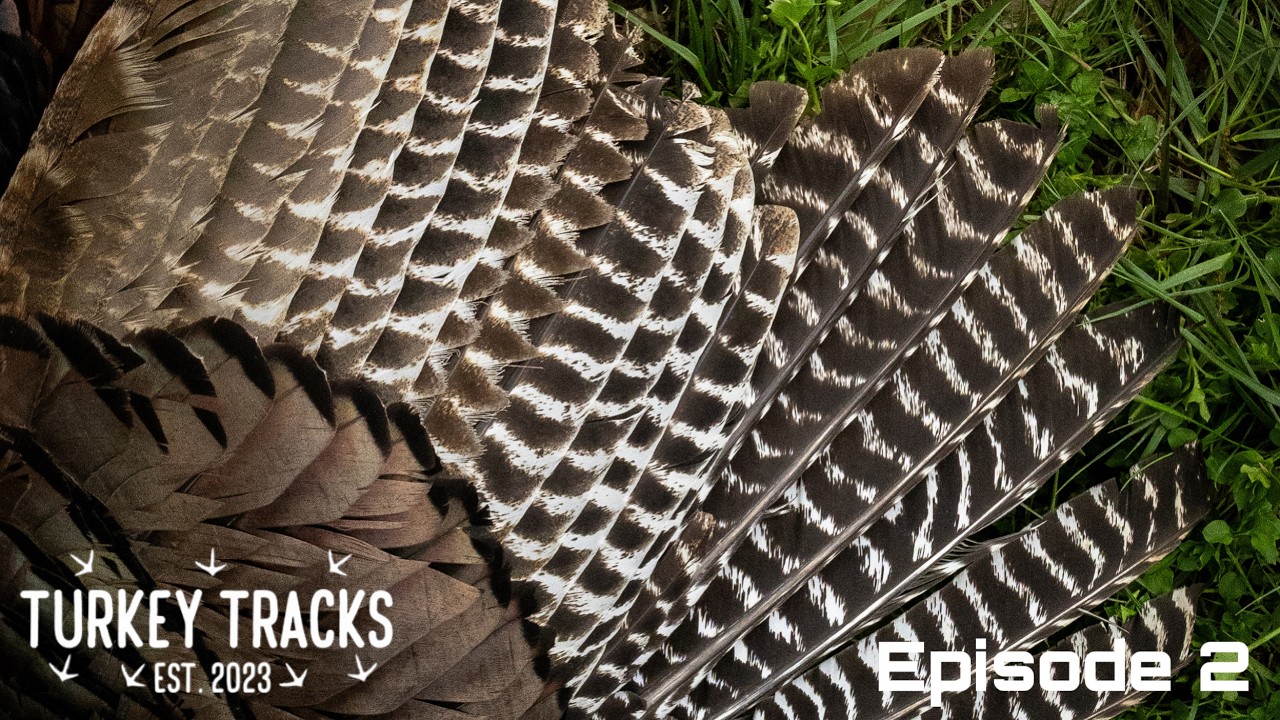 WE MADE A MISTAKE! | ALABAMA TURKEY HUNTING | EP. 2