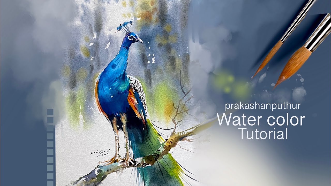 How easy it is to draw a peacock in watercolor | peacock painting in watercolor by prakashanputhur