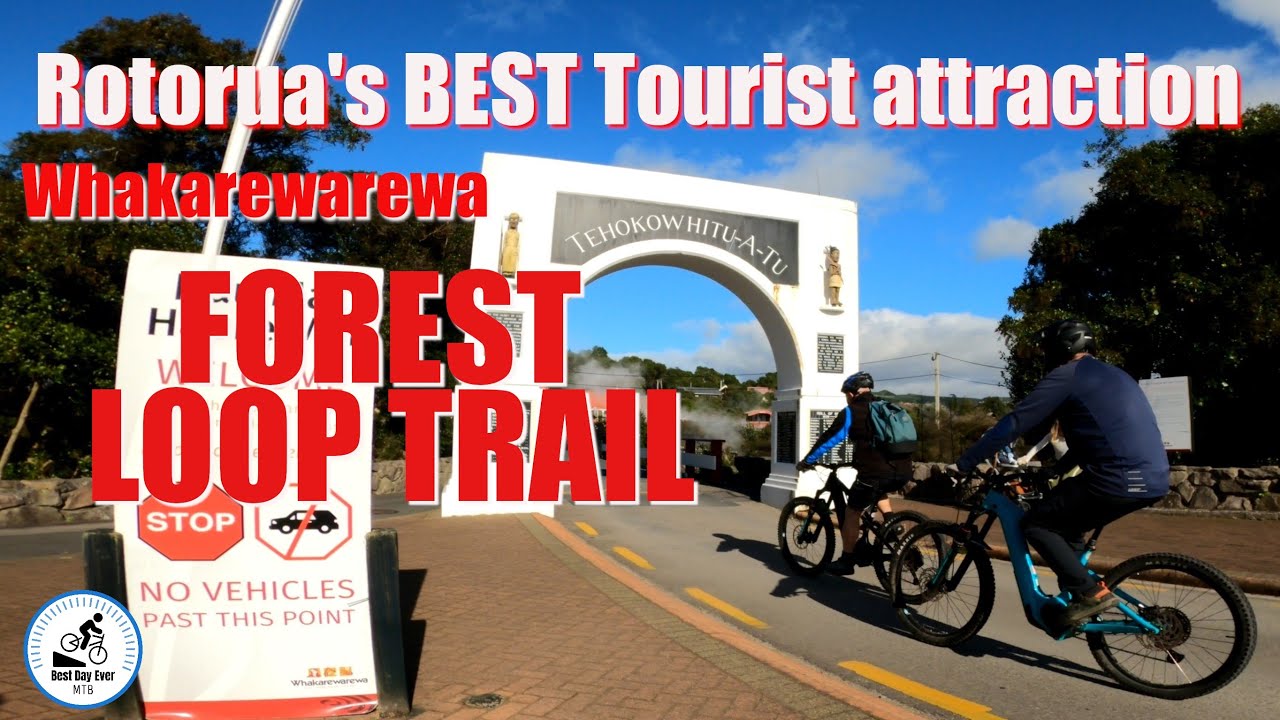 Rotorua's BEST Tourist Attraction- Whakarewarewa Forest Loop Trail