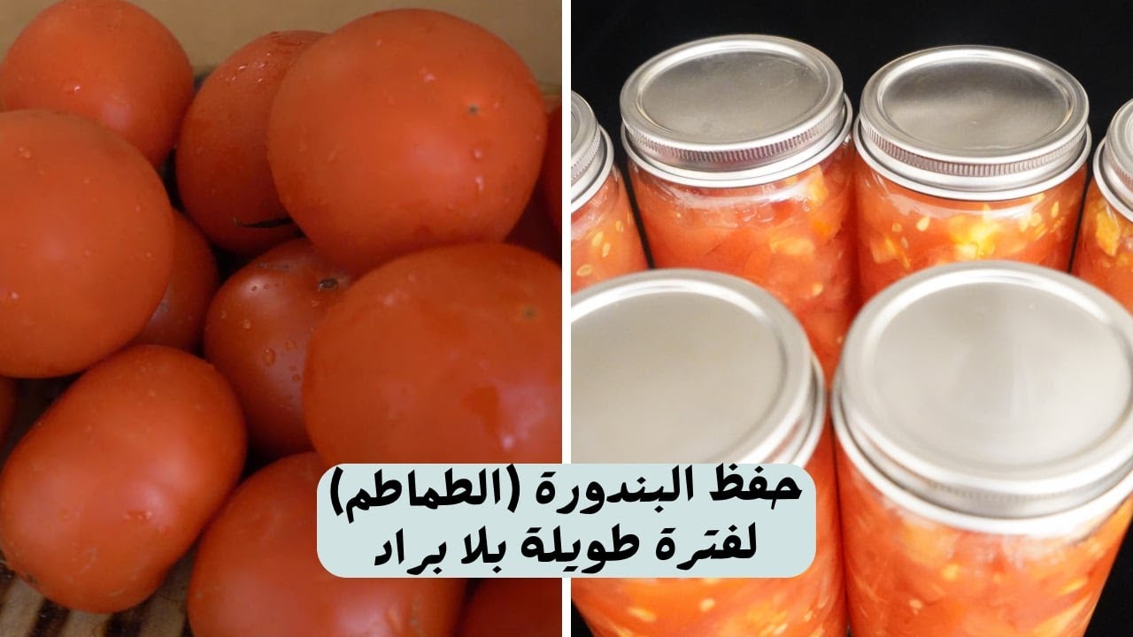 طريقة حفظ البندورة [الطماطم] لاكثر من سنة وبدون براد مع شام الاصيل