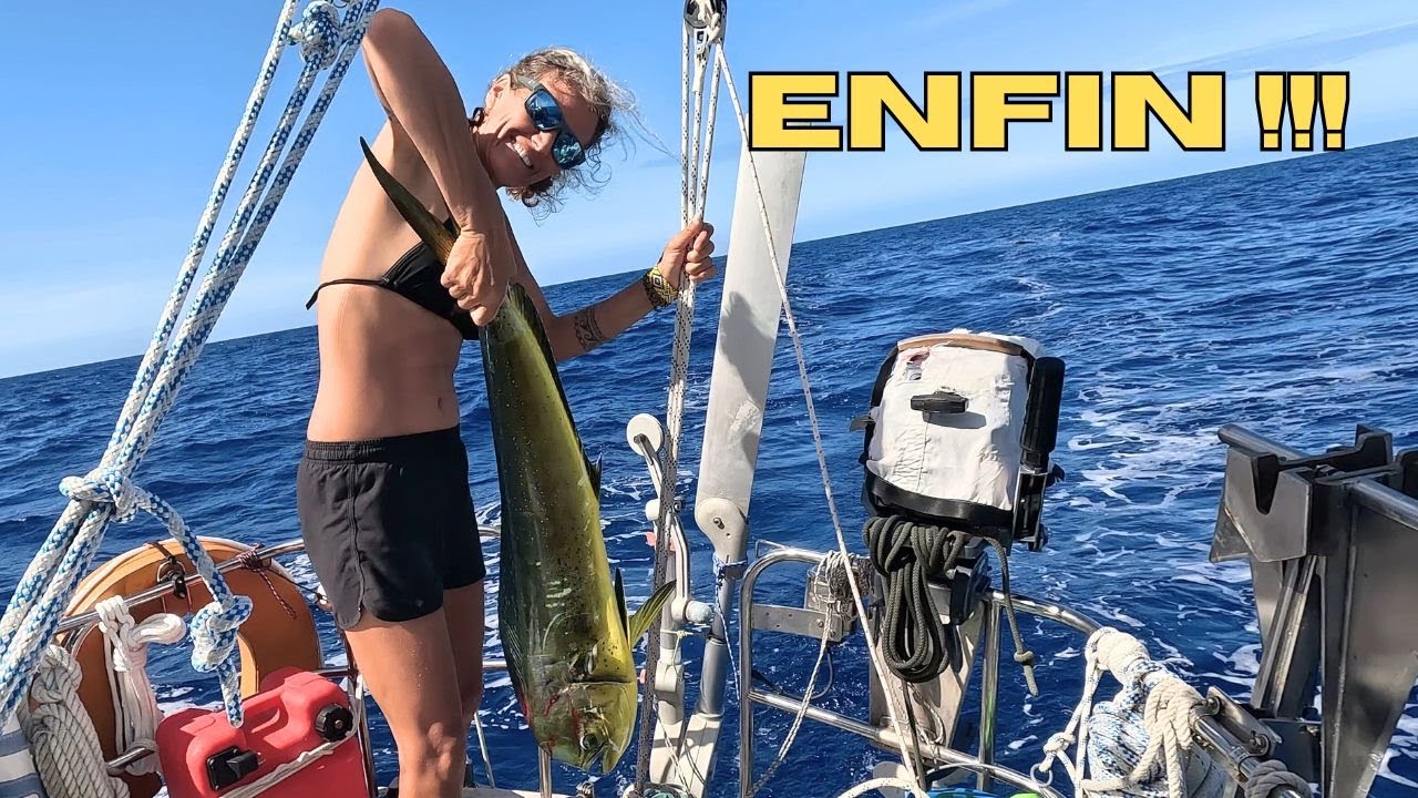 Navigation de Kauehi à Farakava, enfin on PÊCHE! Pont en teck : on remplace les bouchons. Ep48