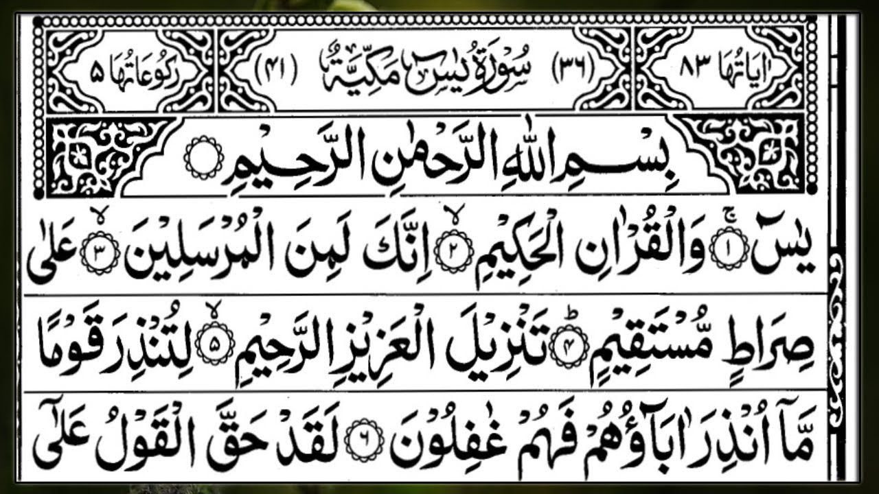 Surah Yasin | Surah Rahman Full🌿 Tilawat | (HD) | Arabic Text | Alqama Naziri Official