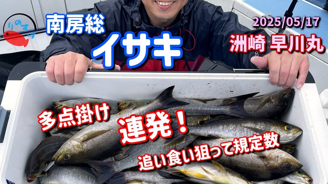 【イサキ釣り】多点掛け連発で良型イサキ　規定数達成👍【洲崎 早川丸】