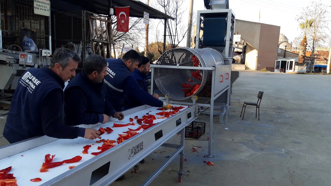 Biber salça hattı