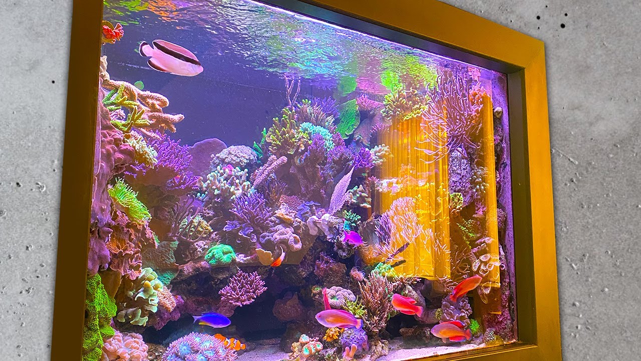 Chillout with living WALL AQUARIUM *coral reef* 4K