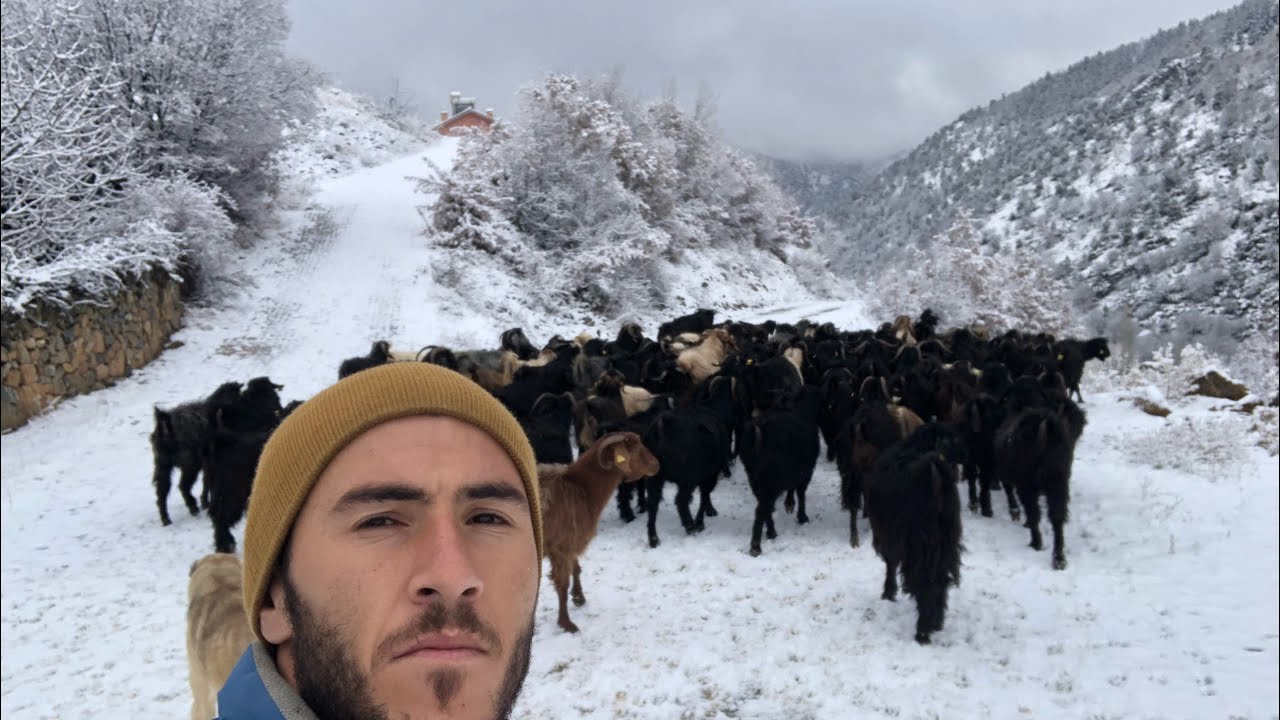 Kar yağmış sabah köy işleri