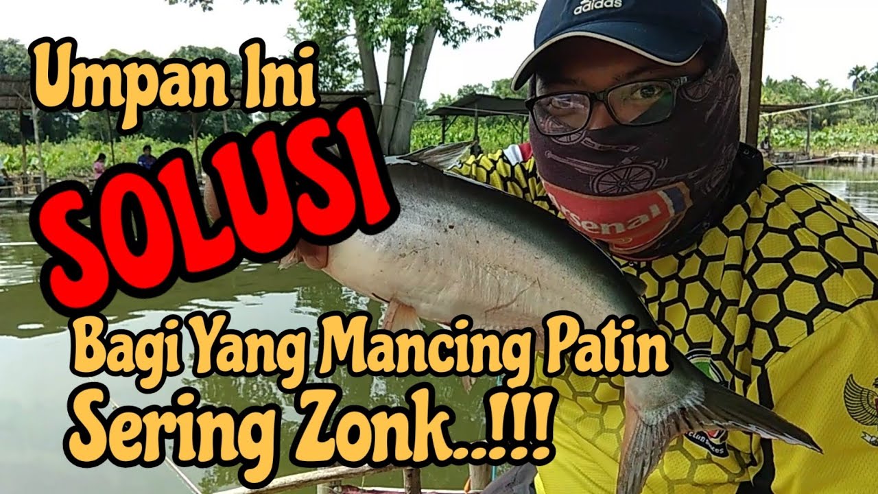 Daily Pond Catfish Bait || Powerful Catfish Bait 781 Pellets & The Secret Mix to Make the Bait Gacor