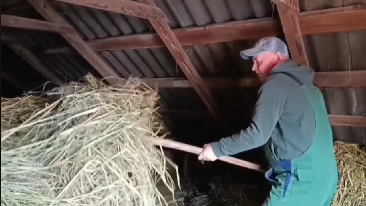 Чарівний зимовий день в селі.
