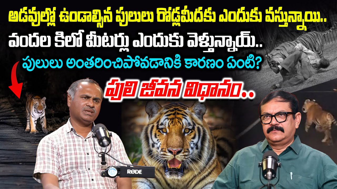 పులులు అంతరించిపోవడానికి కారణం? Tiger Lifestyle | Forest Range Officer Ram Mohan About Tiger Life