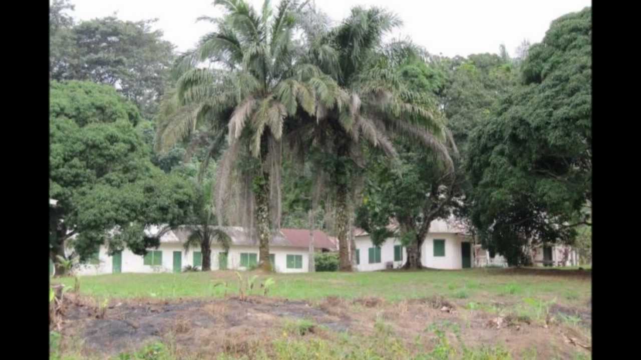 Véronique Itsiembou : Mu Mengu