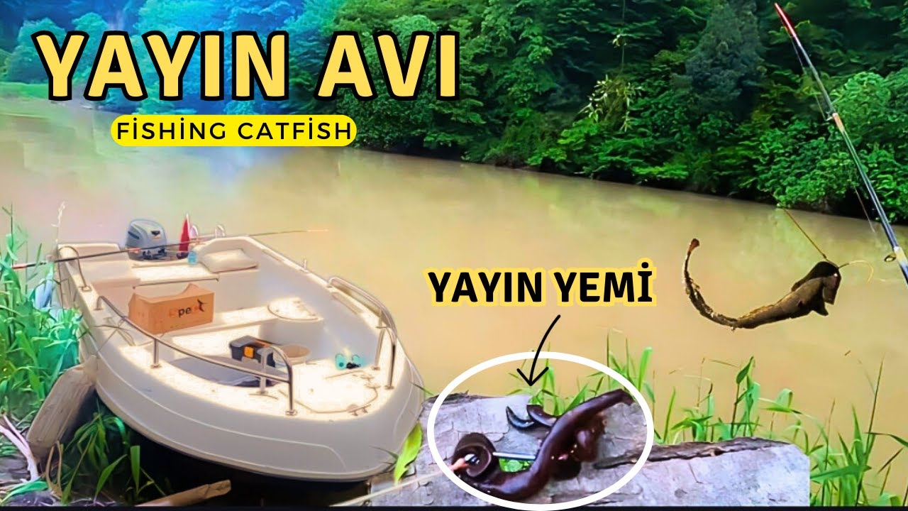 Dip Oltası İle Yayın Avı | Yem Nasıl Takılır ? | Balık Avı | Catfish Hunting
