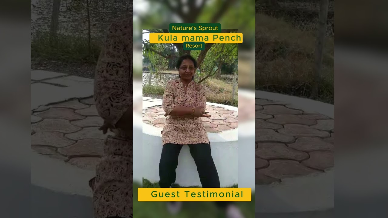 Unforgettable Stay! Guests Rave About Kulamama Pench Resorts #penchtiger #review #guestfeedback