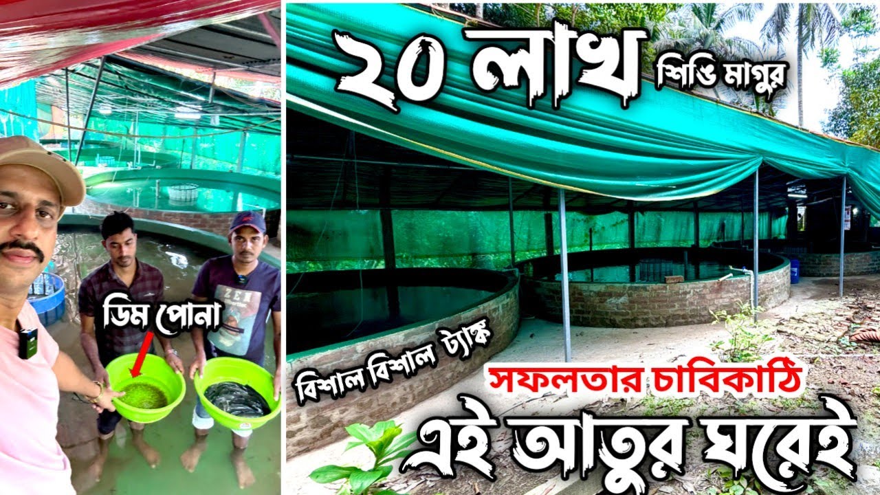 এই ছোট ছোট ইনফরমেশনগুলোই হয়ত  আপনার হাতকে একদিন পাকিয়ে তুলবে। কম জল খরচ করে, আর্টিমিয়া খাইয়ে তৈরি..