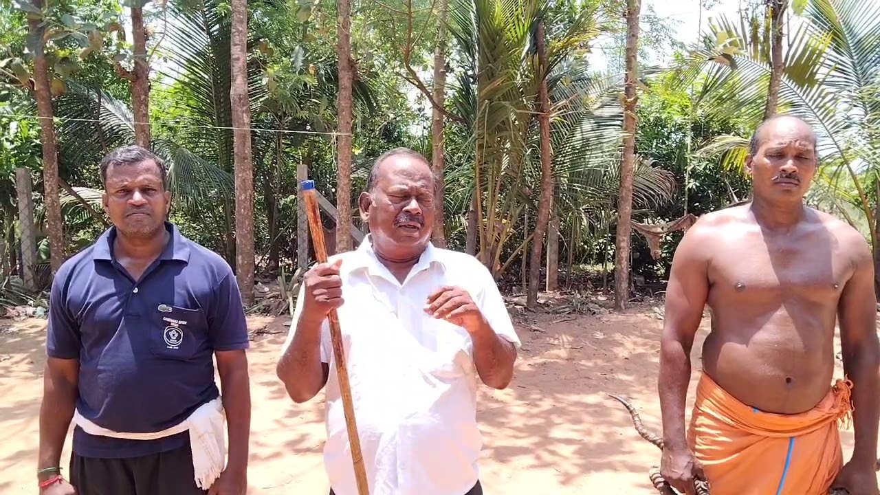 நாகம் பதினாறு சிலம்பம் மடுவு(மான் கொம்பு) மற்றும் குத்து வரிசை பயிற்சி