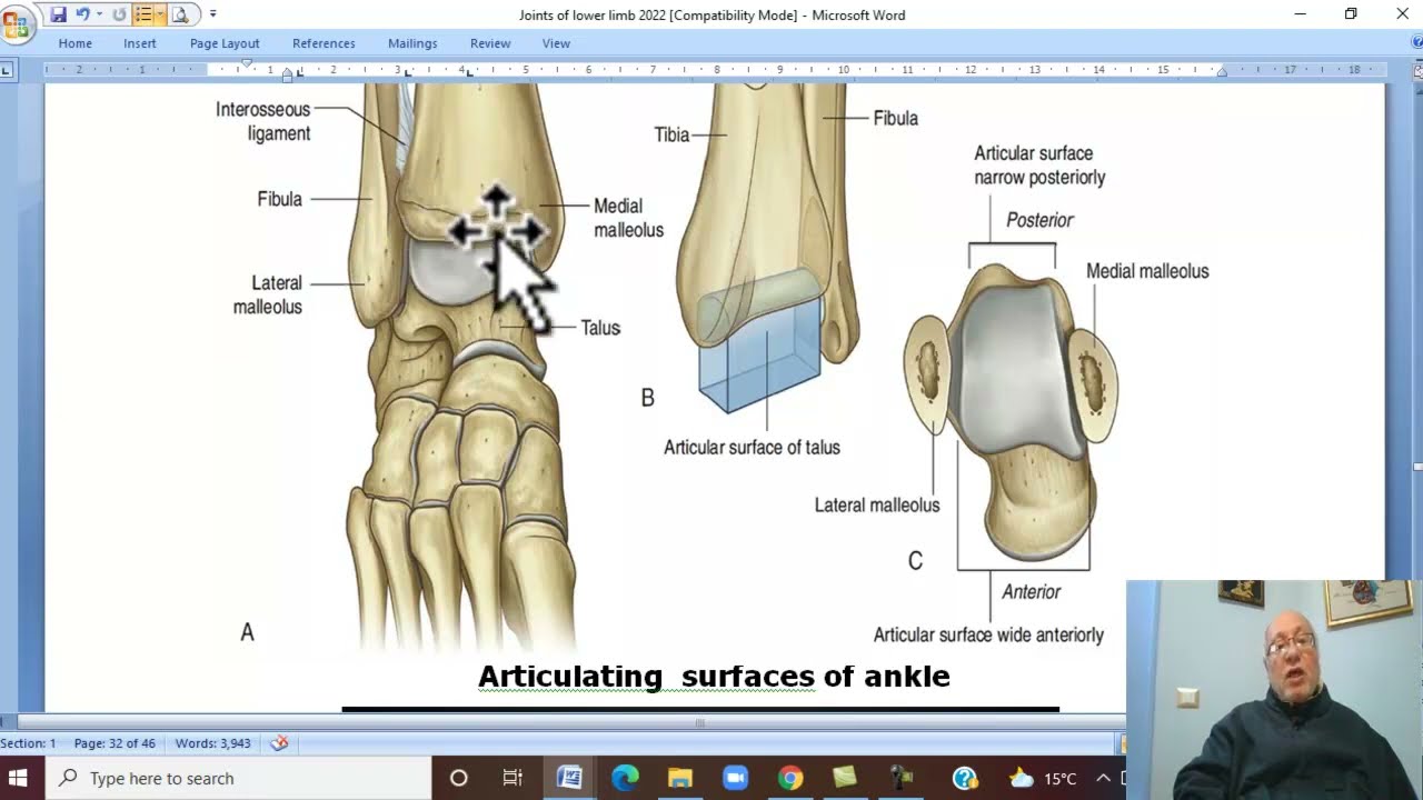 Musculo-skeletal Module , Anatomy of Lower Limb in Arabic  52 ( Ankle  joint ) by Wahdan