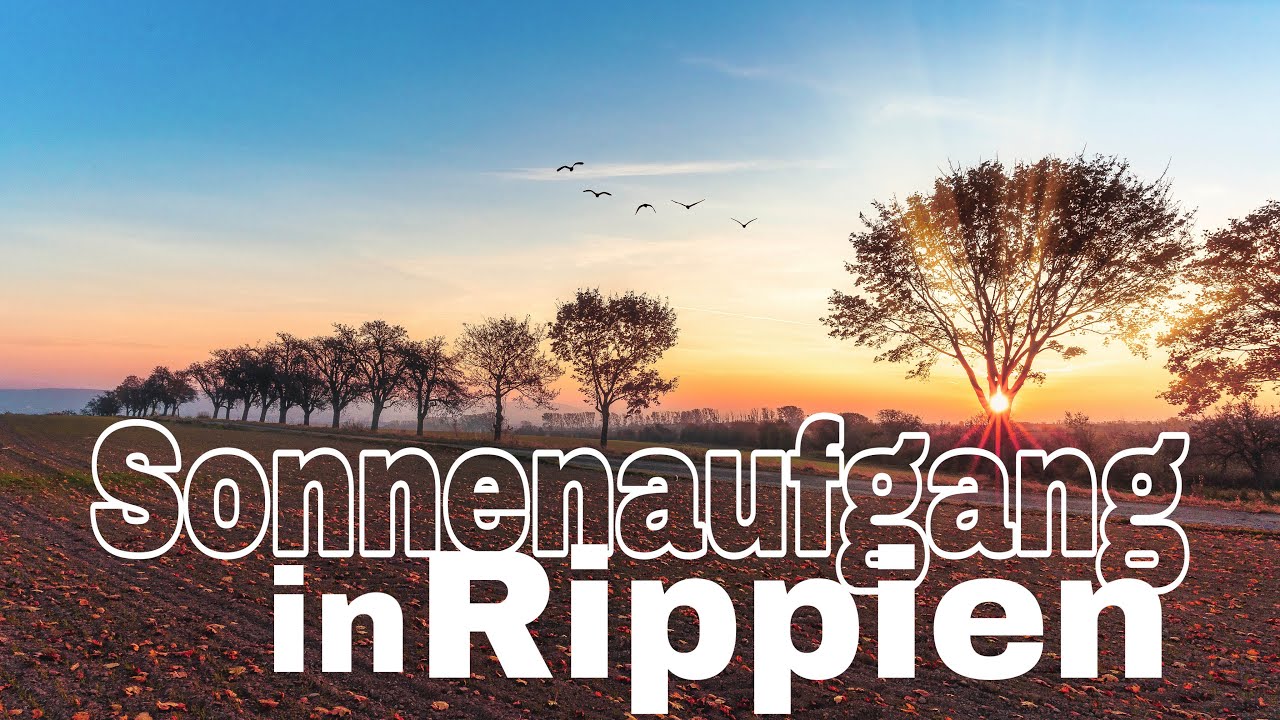 Sonnenaufgang in Rippien (Dresden)
