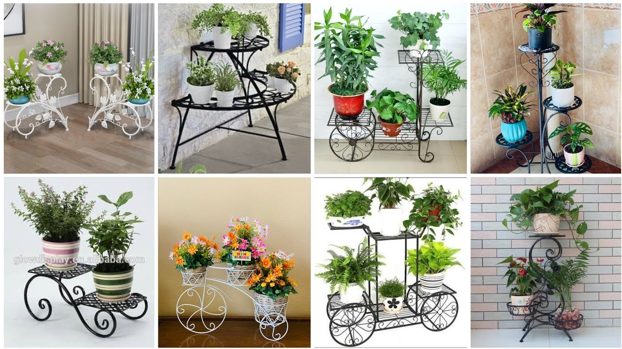 most beautiful plants stand ideas #decoration