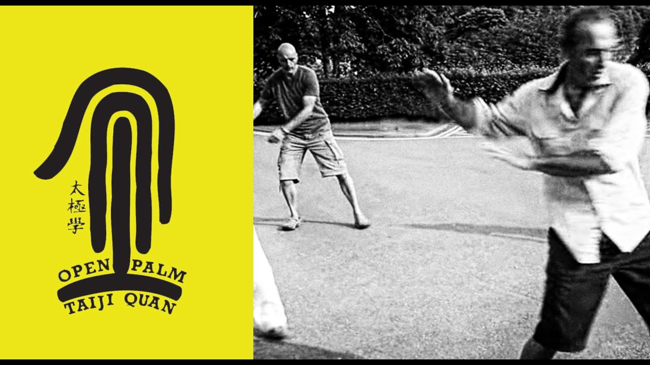 Open PalmTaiji: Training for stepping, stability and principles of change  23rd October 2024