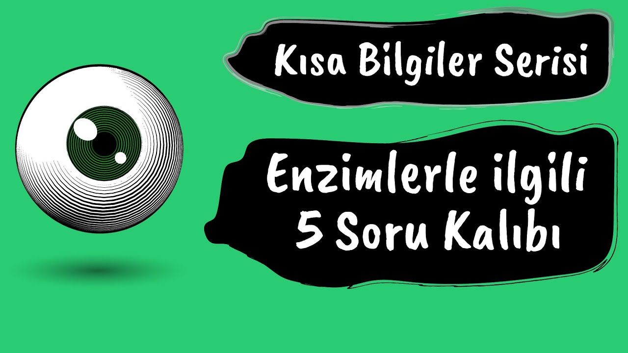 YARDIMCI KISIMDA ARTIK KOENZİM YOK MU ? Enzimler 5 önemli soru kalıbı