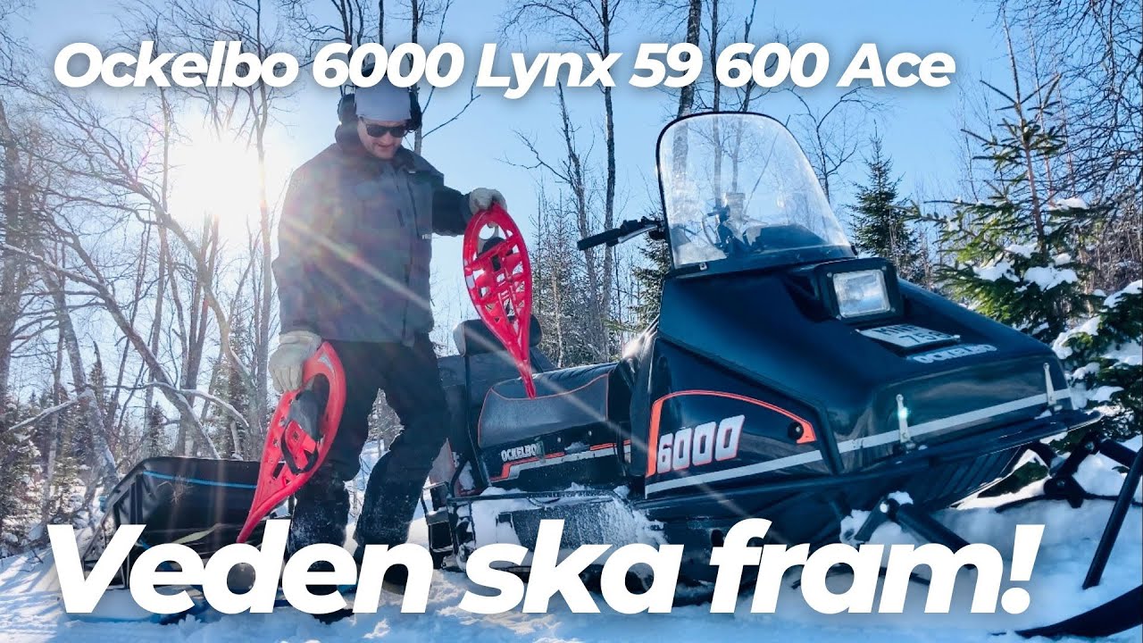 Kör fram veden med Ockelbo 6000 Lynx 59 600 ACE Stihl MS251 - Torpet!