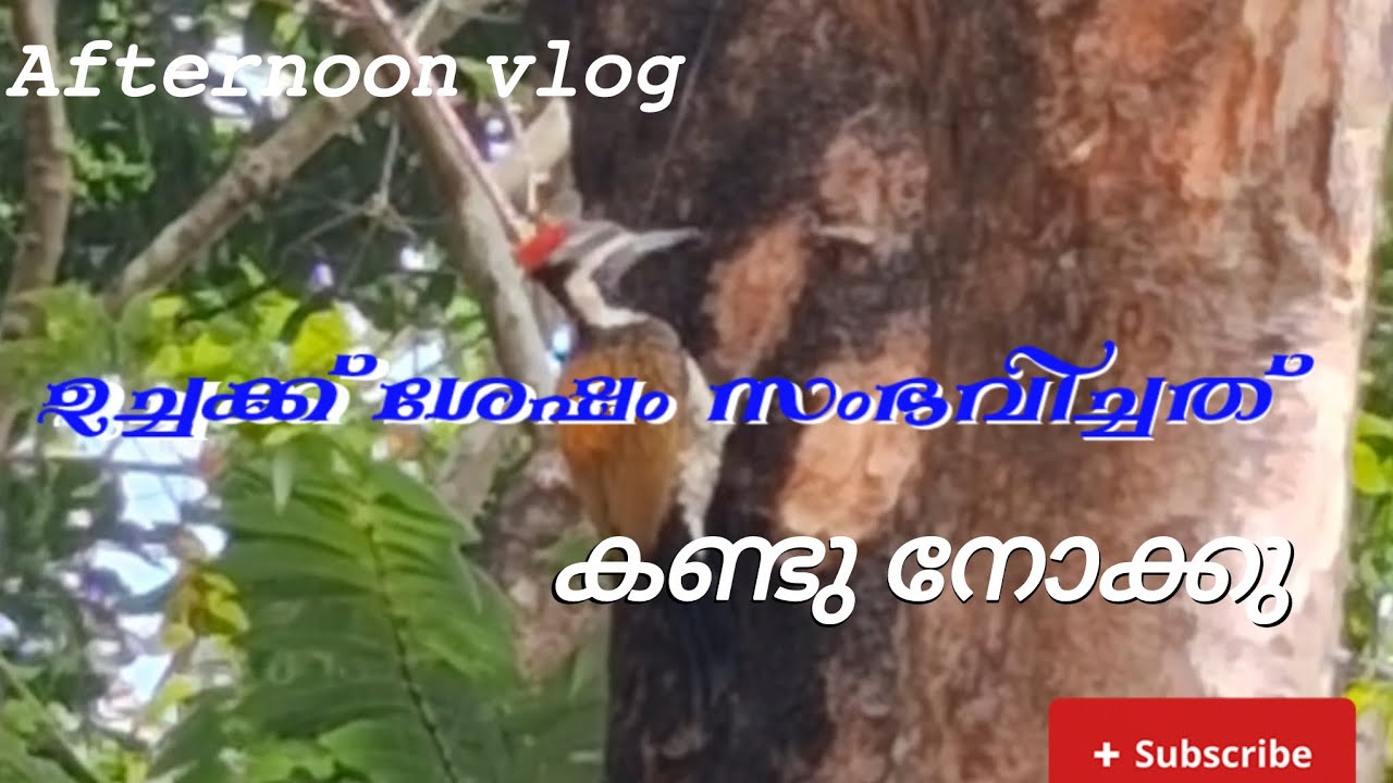 ഉച്ചക്ക് ശേഷം സംഭവിച്ചത് 