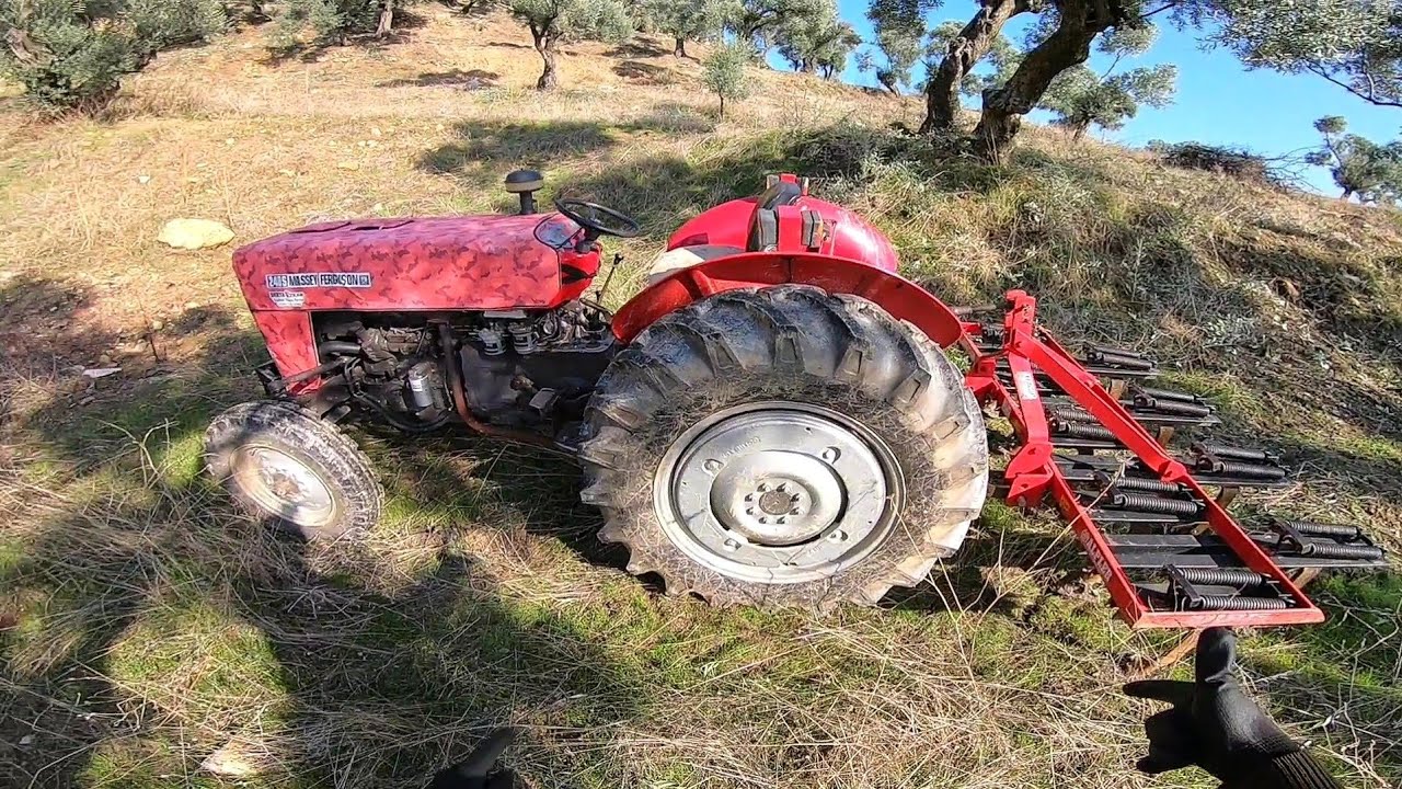 Massey'le İlk Kez Alpler Kültivatör Çekiyorum - Soğan Bakla Yeri Hazırlayıp Ektik