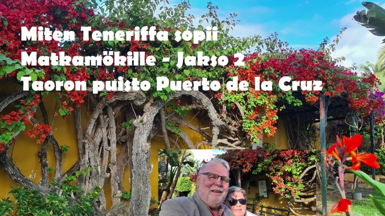 Tenerife Road Trip 2022 | Jakso 2 Taoron puisto Puerto de la Cruz