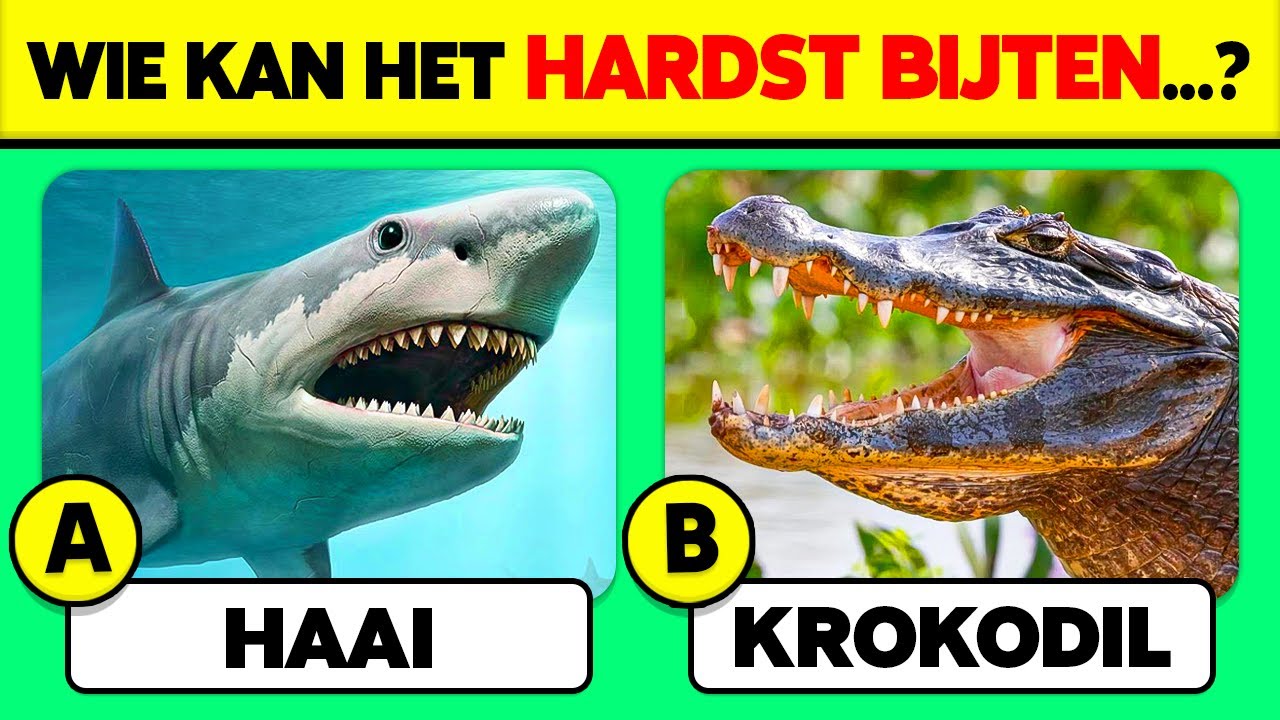 🧠 Hoe Goed Is Jou Dierenkennis? 🦁🦓✅ Algemene Kennis Trivia Quiz