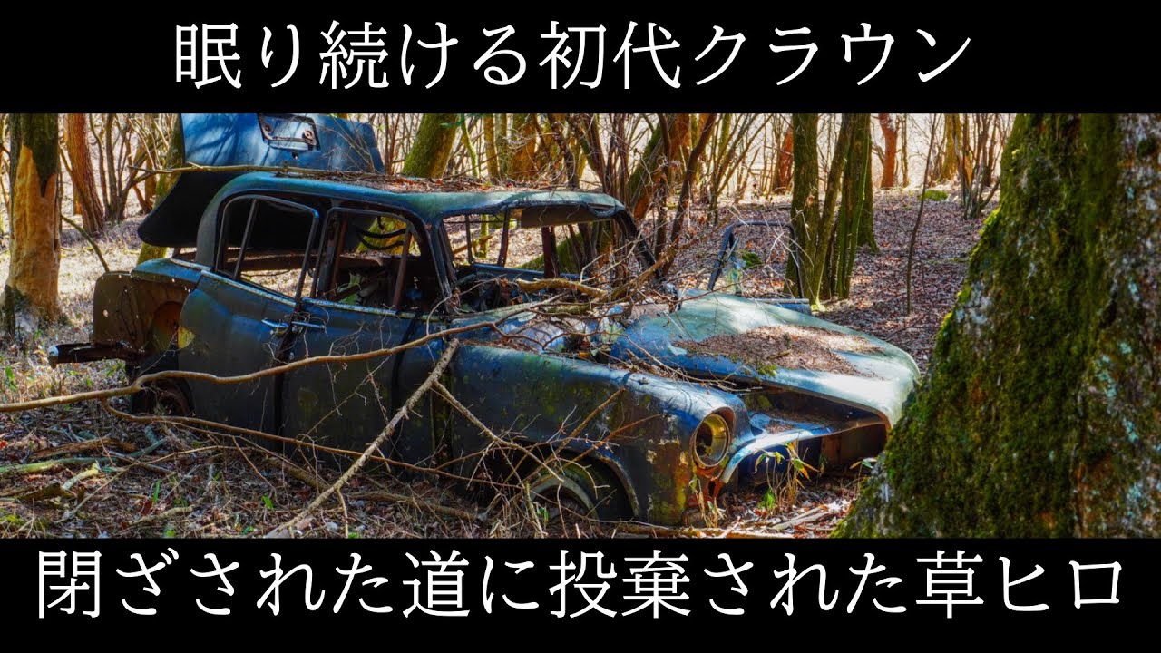 湖近くの山で『超大物草ヒロ』を捜索