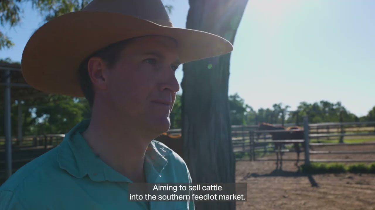 How it works: Gallagher Animal Performance & Black Box Integration