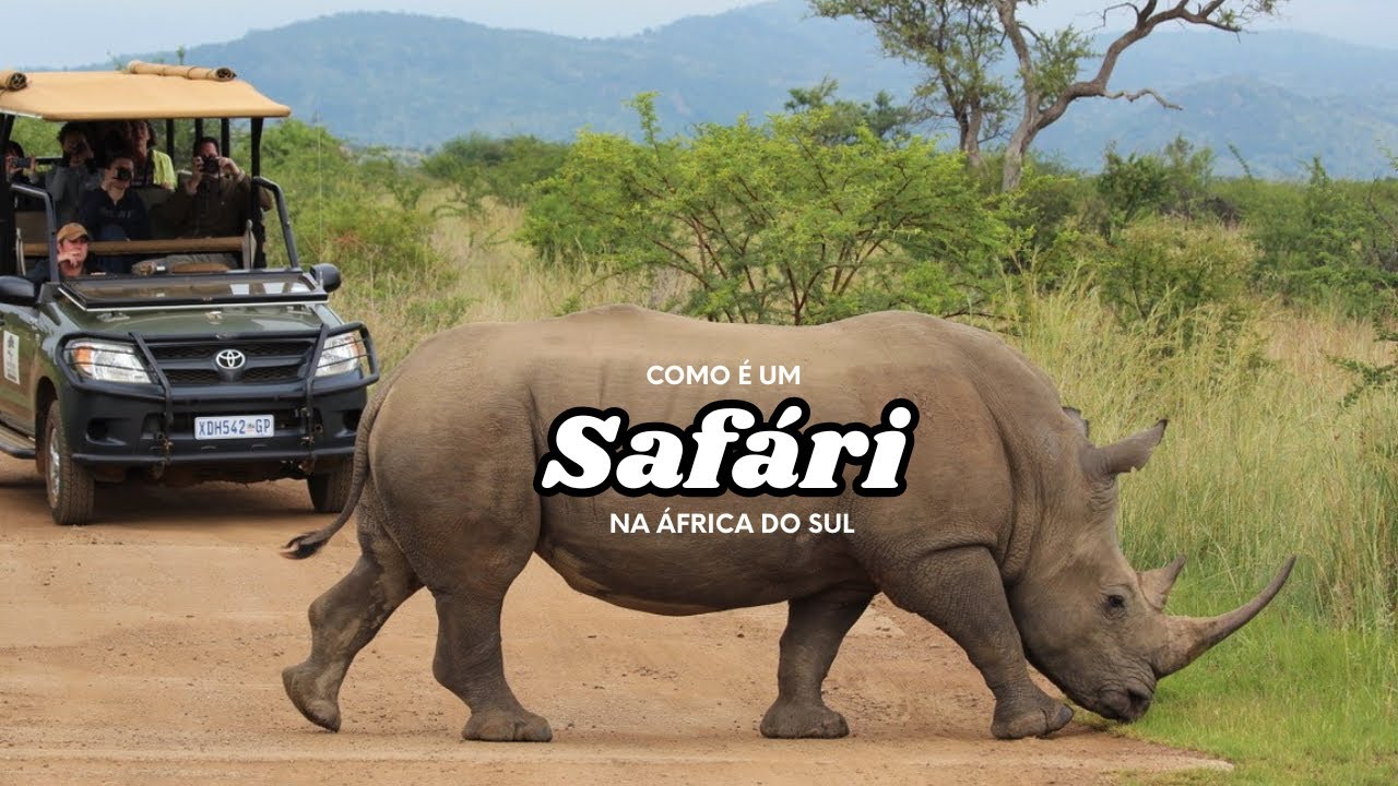 Como é um Safári na África do Sul 🇿🇦 | Dicas, curiosidades e experiência completa!