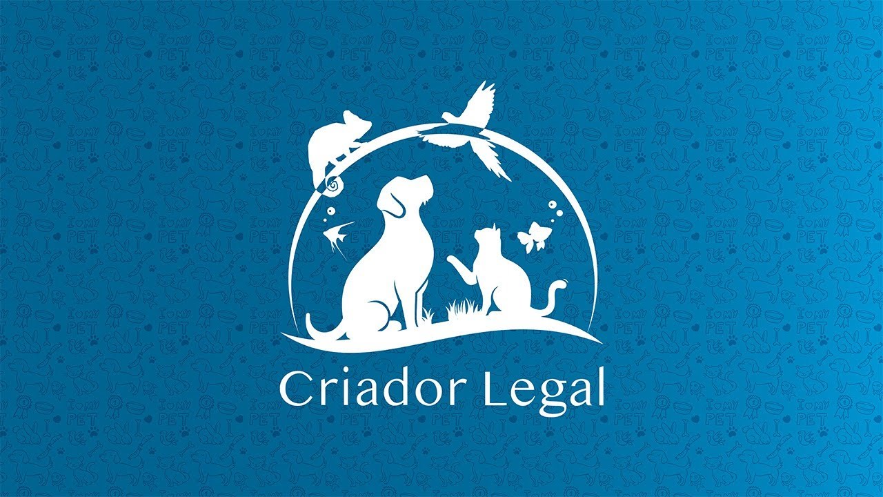 Webinar - O que &eacute; ser um Criador Legal?