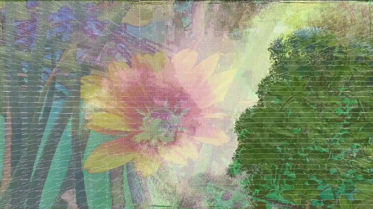 (Love Makes) The Garden Purr -video
