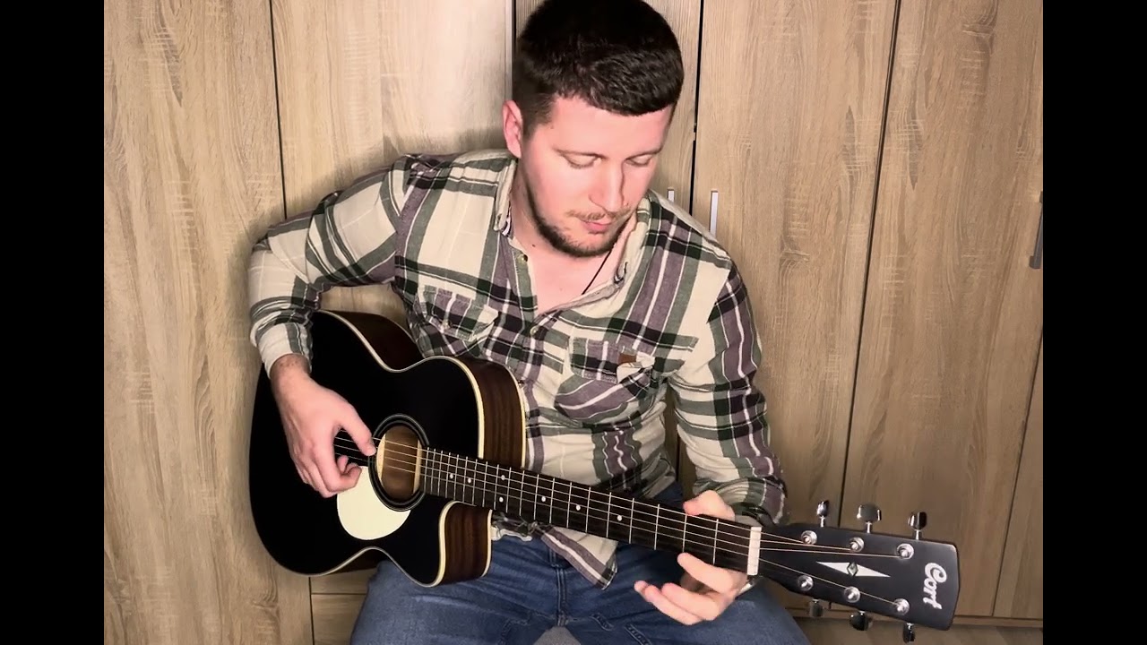 Blackbird- The Beatles ( Jakub Dolinsky - inštrumental cover ) 