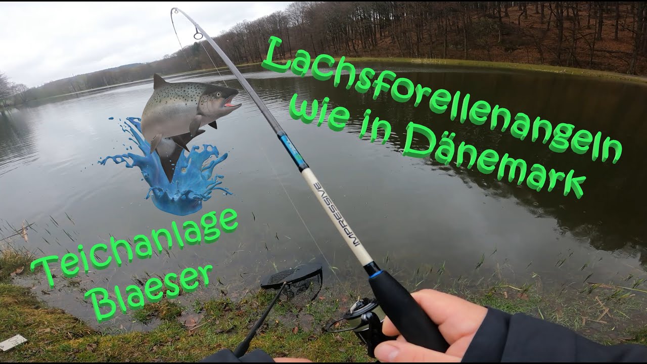 #68 Meine Ersten Besuche bei der Teichanlage-Blaeser in Oberelbert am Raubfischteich / Lachsforellen