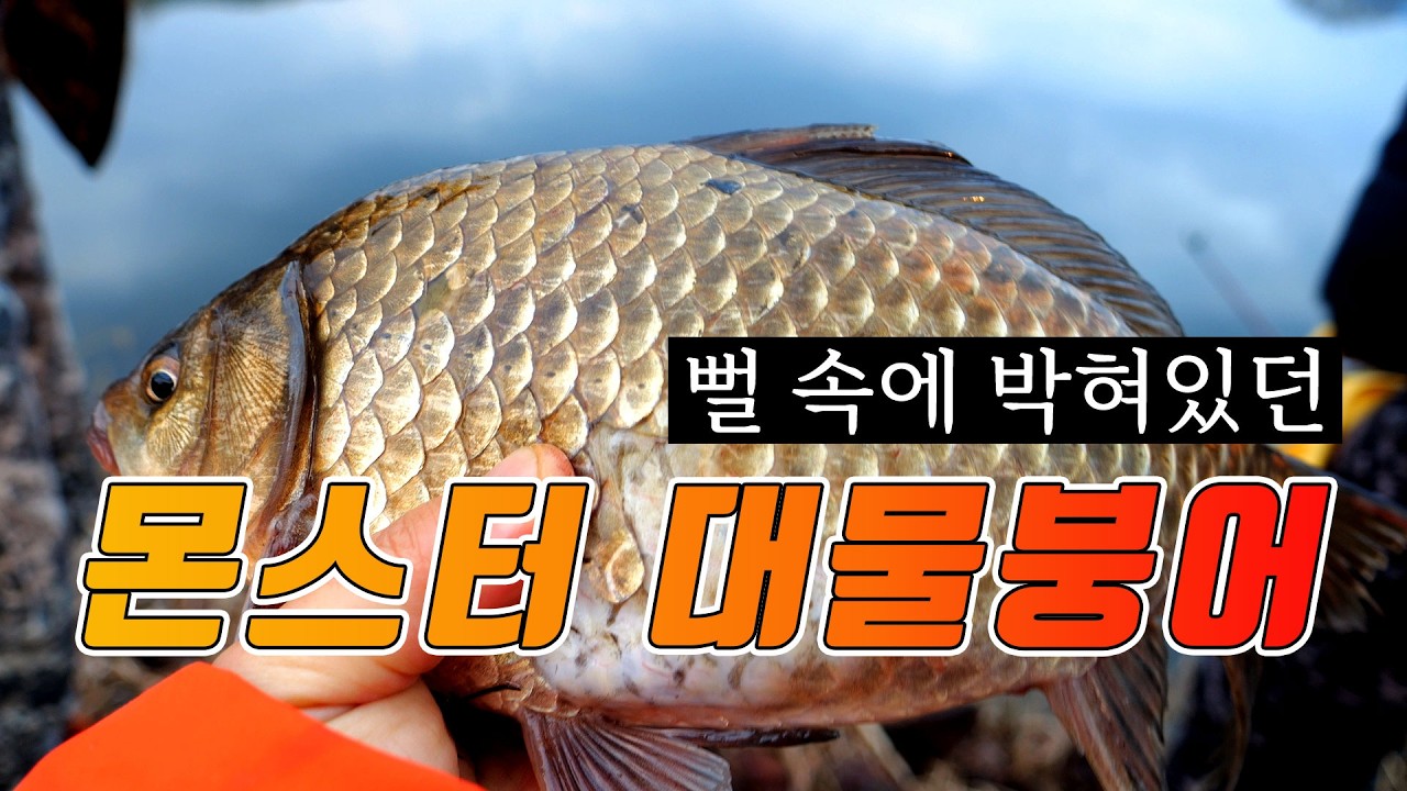 괴물 붕어가 나오는곳!! 산란철 특수를 여기서 불태워보자!!