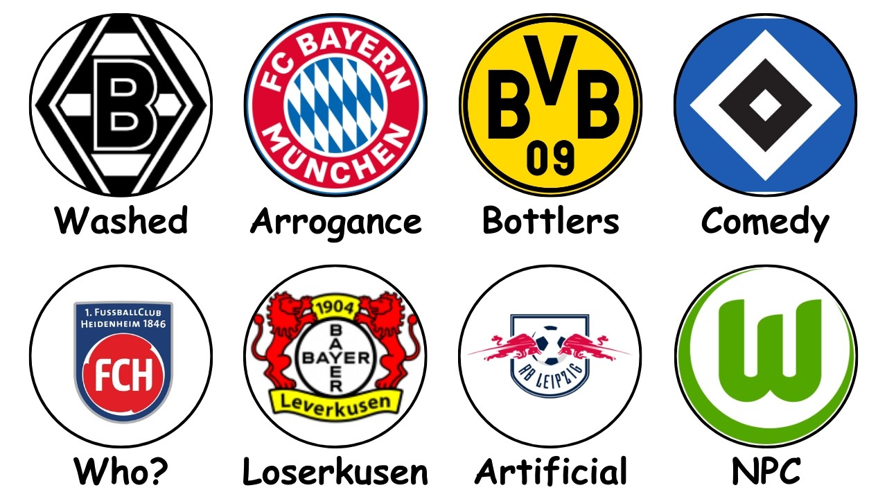 Every Bundesliga Team Explained in 22 Minutes