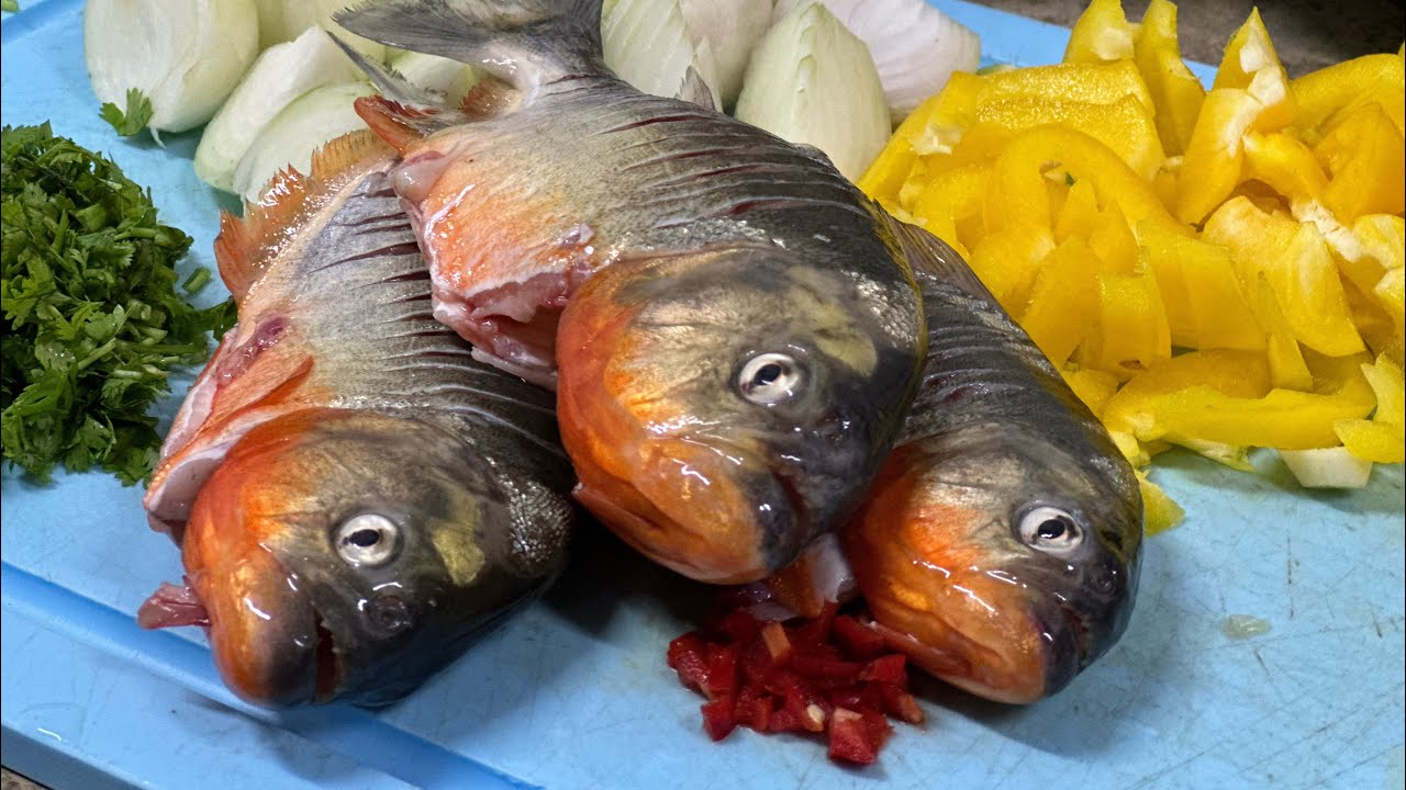 PESCARIA E O MELHOR CALDO DE PIRANHAS