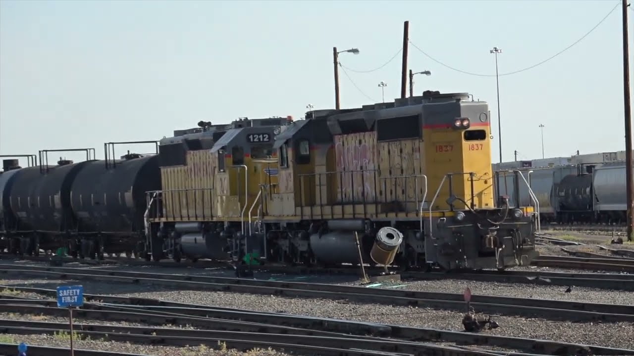 North Yard Weekend (6/29/25)