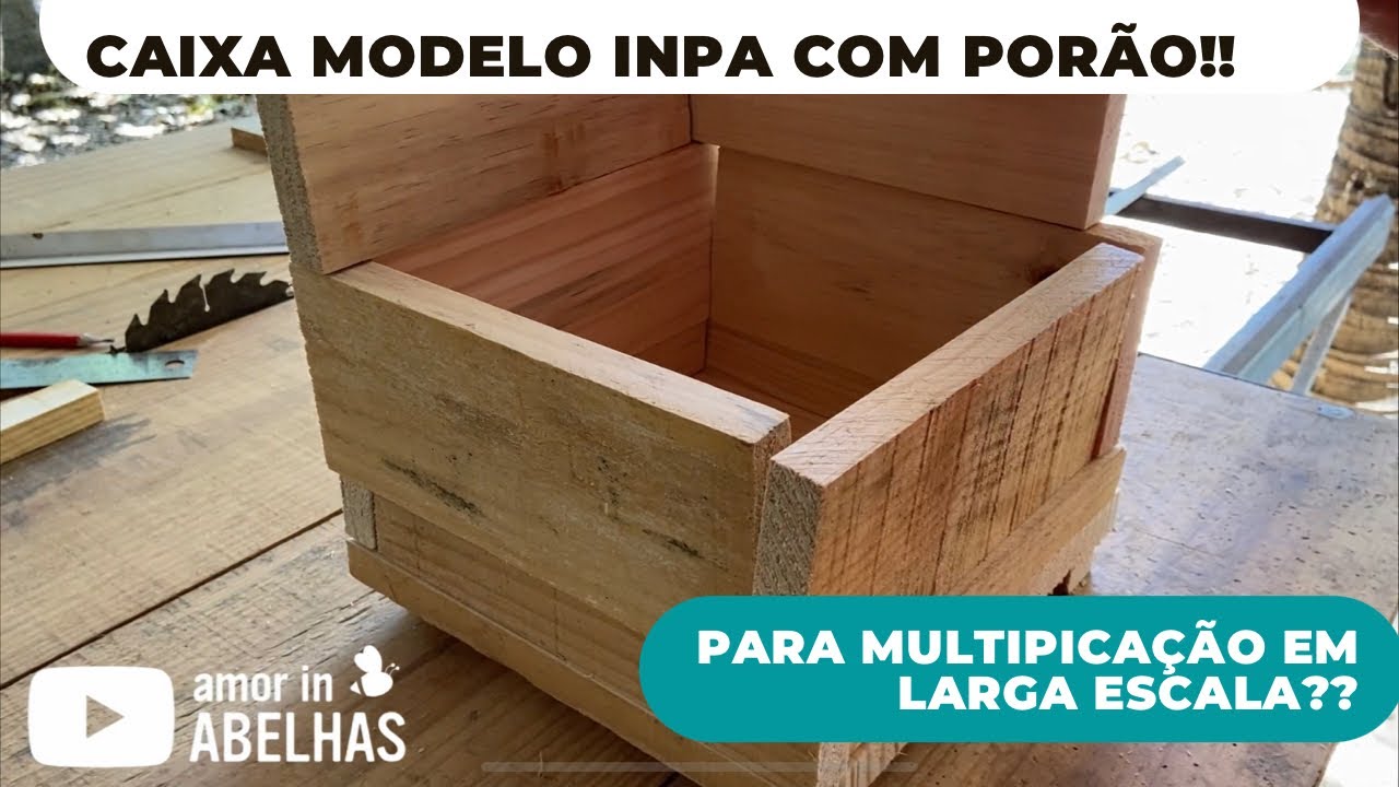 Como fazer caixa INPA com porão para multiplicação em larga escala!