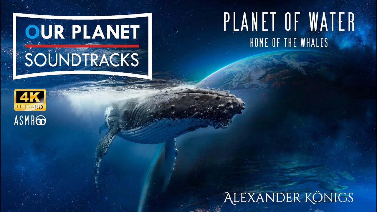 OUR PLANET SOUNDTRACKS by Alexander Königs - Planet of Water - Home of the Whales