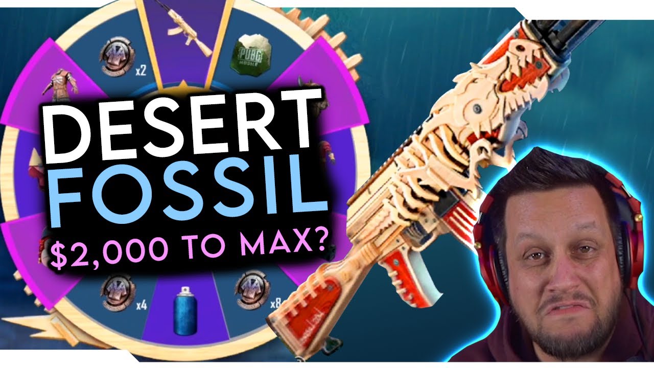 DESERT FOSSIL AKM LUCKY SPIN is HOW MUCH? New Cardboard Armor!