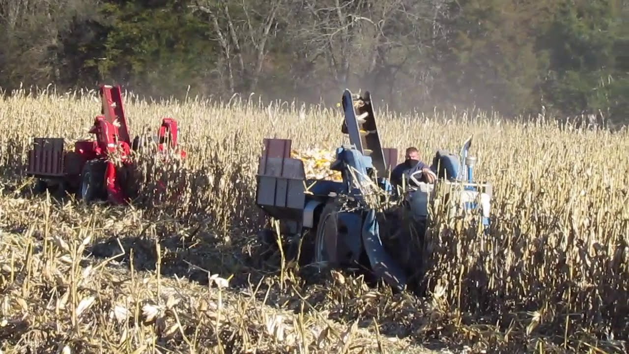 Ford 961 and 6000 with 602 Corn Pickers picking together