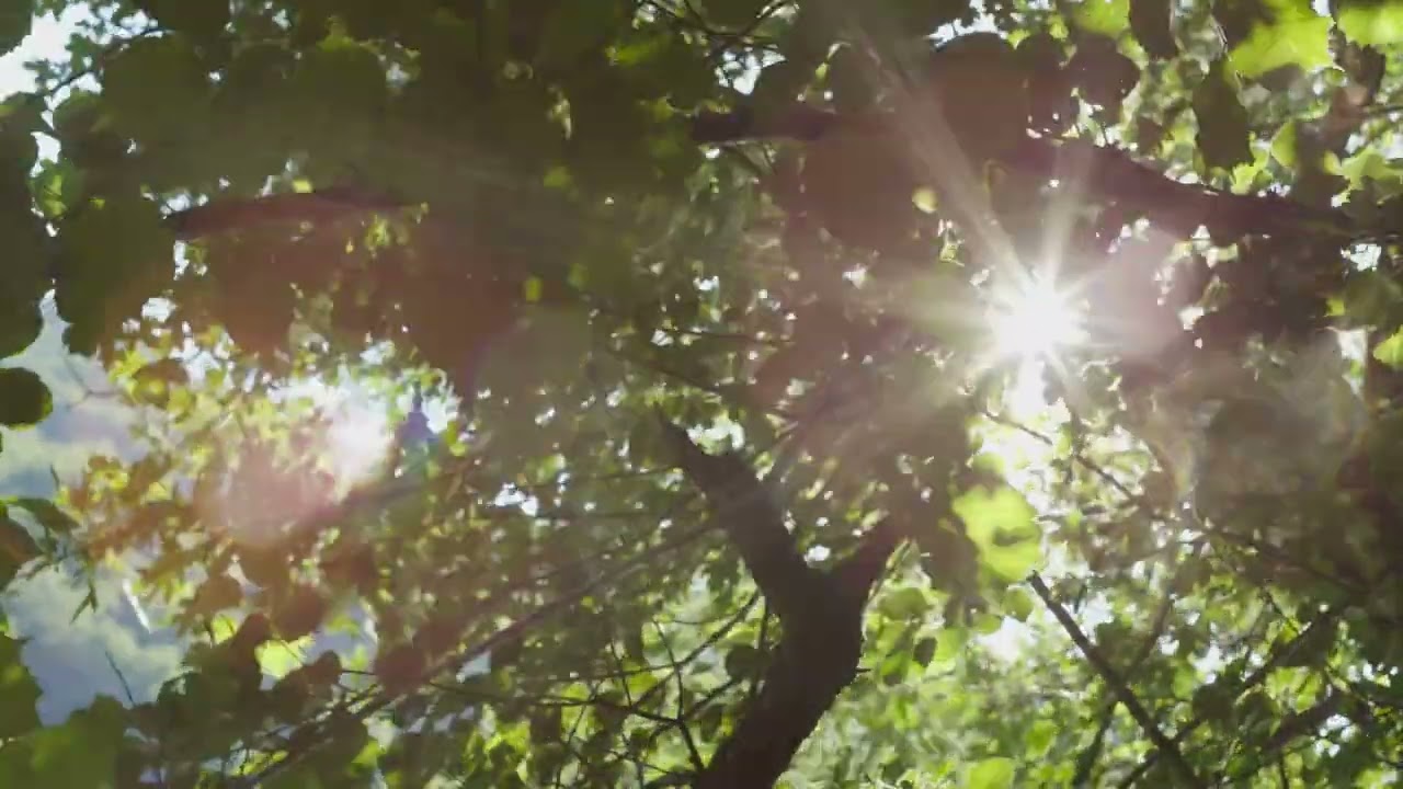 කළණ මිතුරු දහම් සාකච්චා 43