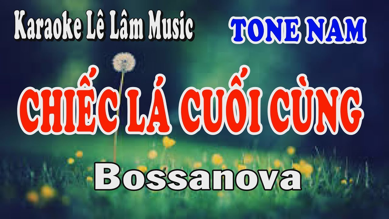 Karaoke Chiếc Lá Cuối Cùng Tone Nam  | Lê Lâm Music