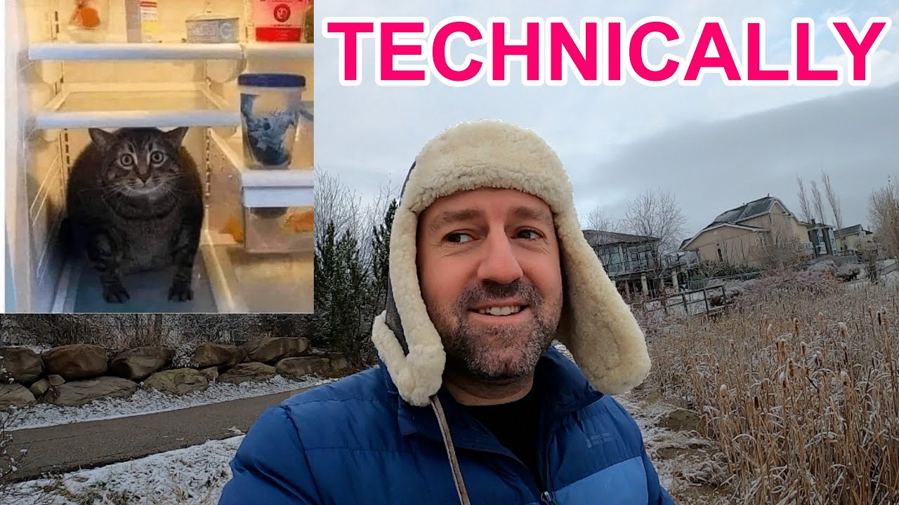 A Useful English Word - TECHNICALLY