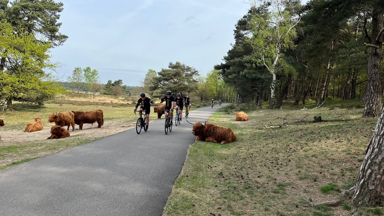 Haute Veluwe  2024
