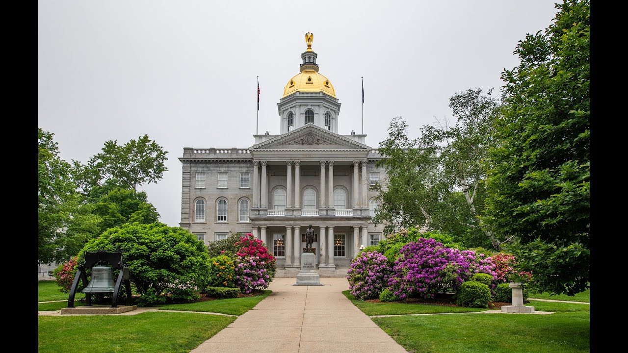 Election Law (1/29/21)