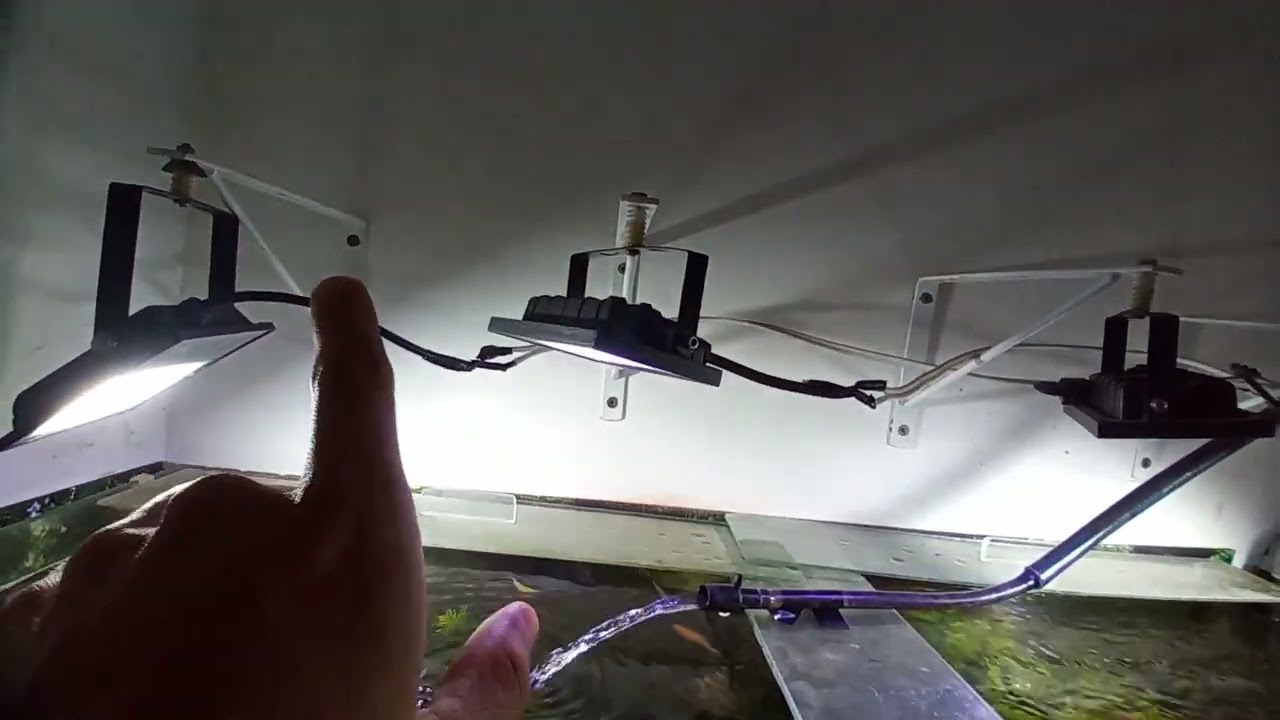 Ligar 4 refletor ou mais no aquário em uma saída liga e desliga automático quanto gastei luminária